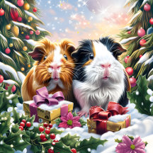 Guinea Pigs With Christmas Gifts