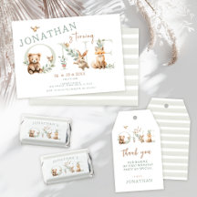 Cute wild one Woodland animals 1st birthday boy