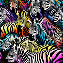 Women's and Men's Print Socks