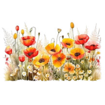 | Invitations and card |