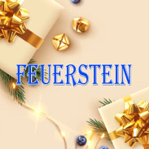 Feuerstein_Name T-Shirt