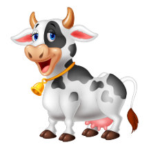 Dairy Cow