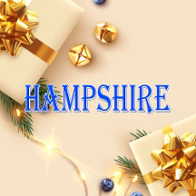 Hampshire_Name T-Shirt