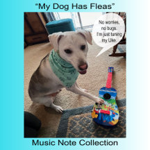 Fun and Fancy Ukulele Tuning Song Music Note