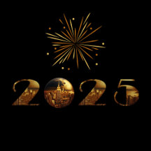 2025 New Years Eve Party Ball-New York City