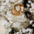 Details_for_Wedding