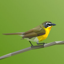 Yellow-breasted Chat