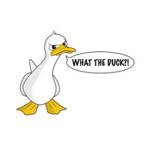 WHAT THE DUCK?!