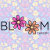 BloomTheoryStudio