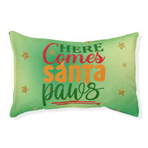 Dog Beds for Pampered Pooches - Canine Dreams