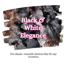 Black & White Elegance