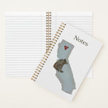 Notebooks