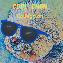 Cool 'Chon the Bichon