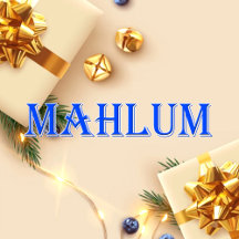 Mahlum_Name T-Shirt