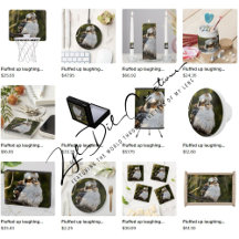 Gifts with fluffed up laughing kookaburra design