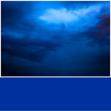 Electric Cobalt Solid Color