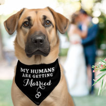 Wedding Themed Dog Bandanas