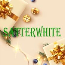 Satterwhite Name T-Shirt