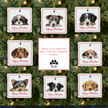 Merry Christmas from the Dog