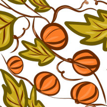 Embrace the Magic of Autumn: Fall Collection