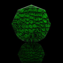 Alligator Texture -LLink