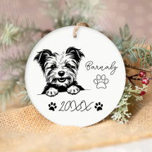 Christmas Pet's Gift