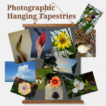Photographic Hanging Tapestries Wall Art