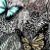 KTTangledDesigns