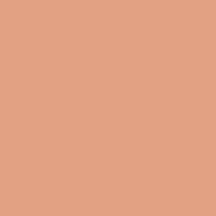 Solid Brown Beige Color   Hex# E3A184