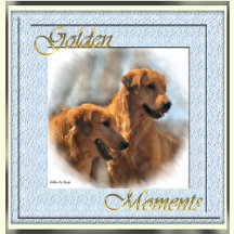 Golden Moments