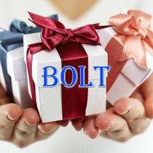 Bolt_Name T-Shirt