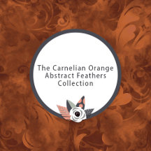 The Carnelian Orange Abstract Feathers Collection