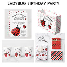 Cute Ladybug Lovebug Girls 2nd Birthday Party