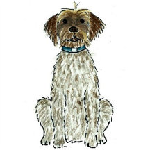 Wirehaired Pointing Giffon