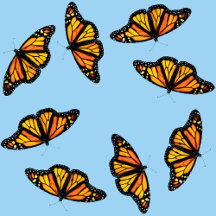 Wrapping Paper for all occasions