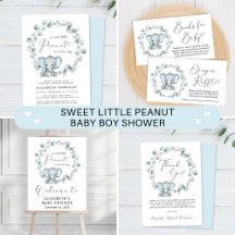 Elephant Eucalyptus Baby Boy Shower