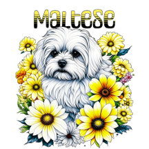 Maltese Small Dog Breed 