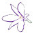 PurpleLilyArtStudio