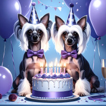 Chinese Crested Dogs Birthday Celebration
