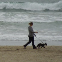 California Jigsaw Puzzles