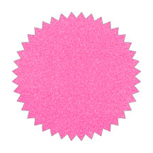 Barbie Inspired Pickleball Paddles