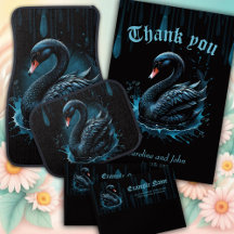 Elegance in motion, the black swan