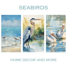 Seabirds 