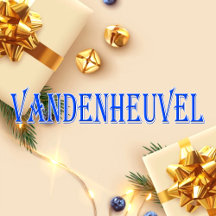 Vandenheuvel_Name T-Shirt