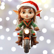 Motorbike Collection