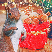 Christmas: Nutty Squirrel Theme