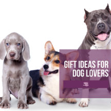 Gift Ideas for Dog Lovers