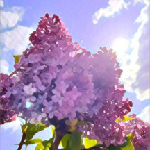 purple Floral photo bouquet inspirational phrase