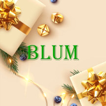 Blum Name T-Shirt