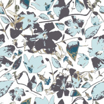 Clematis Vine Elegant Blue Brown Flowers